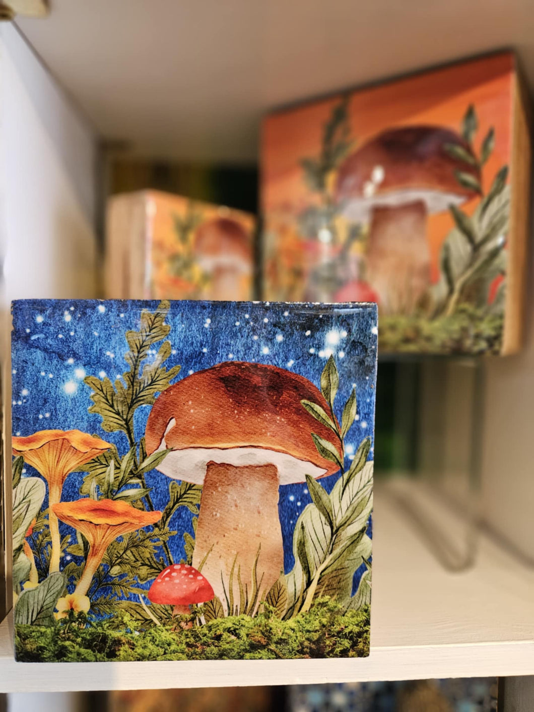 Wooden Mushroom Boxes