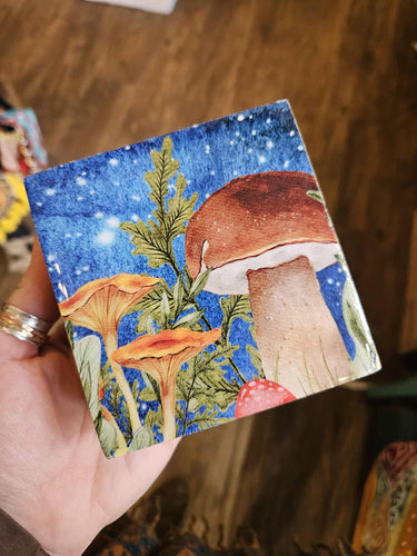 Small Wooden Mushroom Boxes