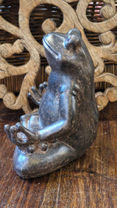 Yoga Frog