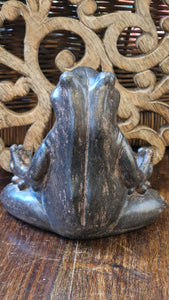 Yoga Frog