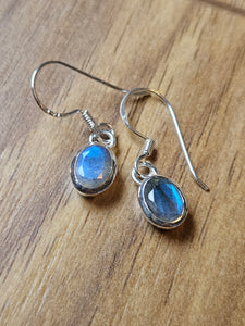 Labradorite Pendant Earrings