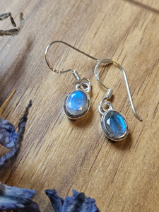 Labradorite Pendant Earrings