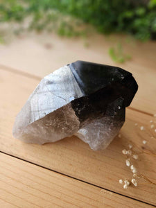 Large Smoky Quartz B3