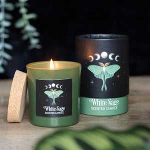 Dark Forest Scented Candles