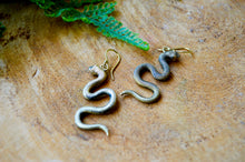 Load image into Gallery viewer, Brass Snake Indian Earrings