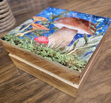 Load image into Gallery viewer, Wooden Mushroom Boxes