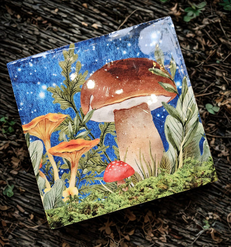 Wooden Mushroom Boxes