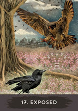 Load image into Gallery viewer, Urban Crow Oracle
