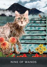 Load image into Gallery viewer, Grimalkin&#39;s Curious Cats Tarot www.karmaripon.co.uk