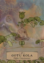 Load image into Gallery viewer, The Herbal Astrology Oracle