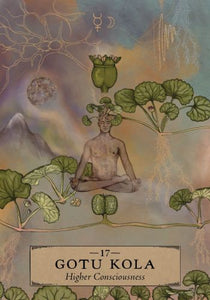 The Herbal Astrology Oracle