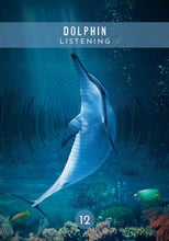 Load image into Gallery viewer, Messages from the Spirits of Nature Oracle