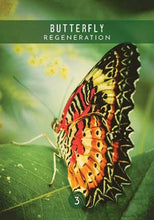 Load image into Gallery viewer, Messages from the Spirits of Nature Oracle