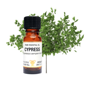 Cypress Pure Essential Oil www.karmaripon.co.uk