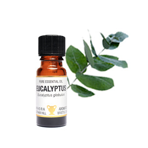 Eucalyptus Pure Essential Oil www.karmaripon.co.uk