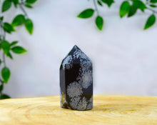Load image into Gallery viewer, Snowflake Obsidian crystal point www.karmaripon.co.uk