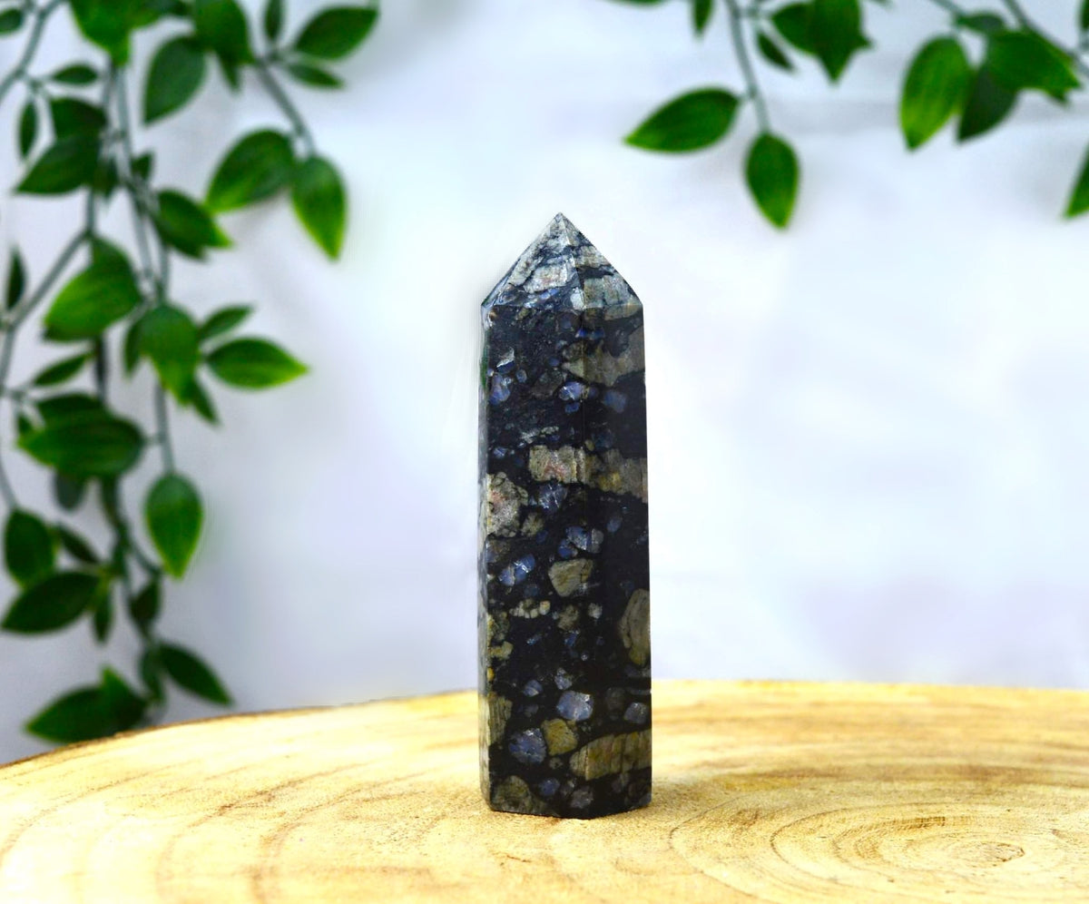 Que-Sera Point – Karma Ripon