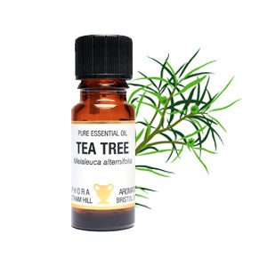 Tea Tree Pure Essential Oil www.karmaripon.co.uk