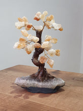Load image into Gallery viewer, Crystal Gem Trees www.karmaripon.co.uk