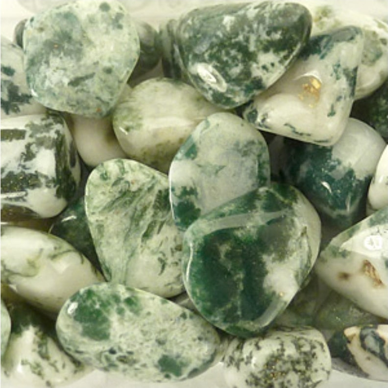 Tree Agate Tumble Stone www.karmaripon.co.uk